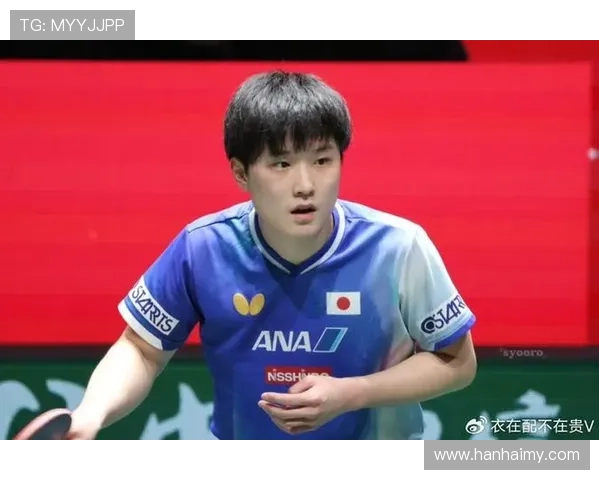 石头再战张本智和关键之战来临 石头再战张本智和关键之战来临